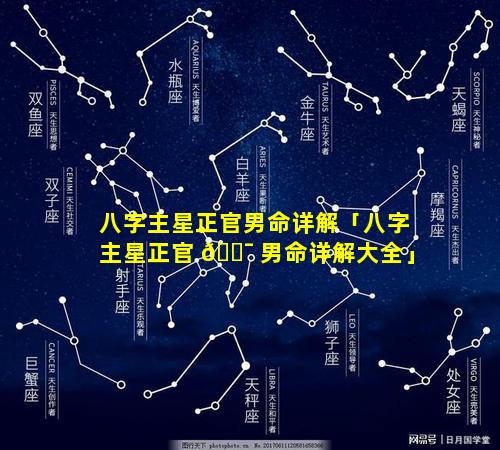 八字主星正官男命详解「八字主星正官 🐯 男命详解大全」